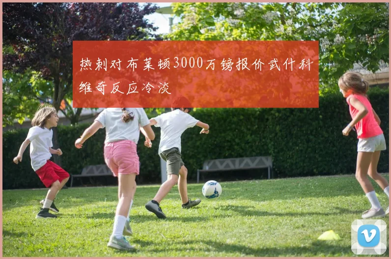 热刺对布莱顿3000万镑报价武什科维奇反应冷淡