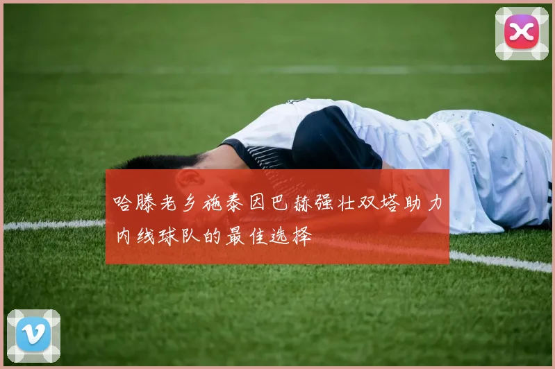 哈滕老乡施泰因巴赫强壮双塔助力内线球队的最佳选择