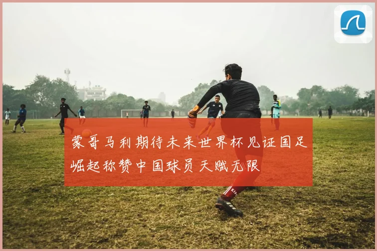 蒙哥马利期待未来世界杯见证国足崛起称赞中国球员天赋无限